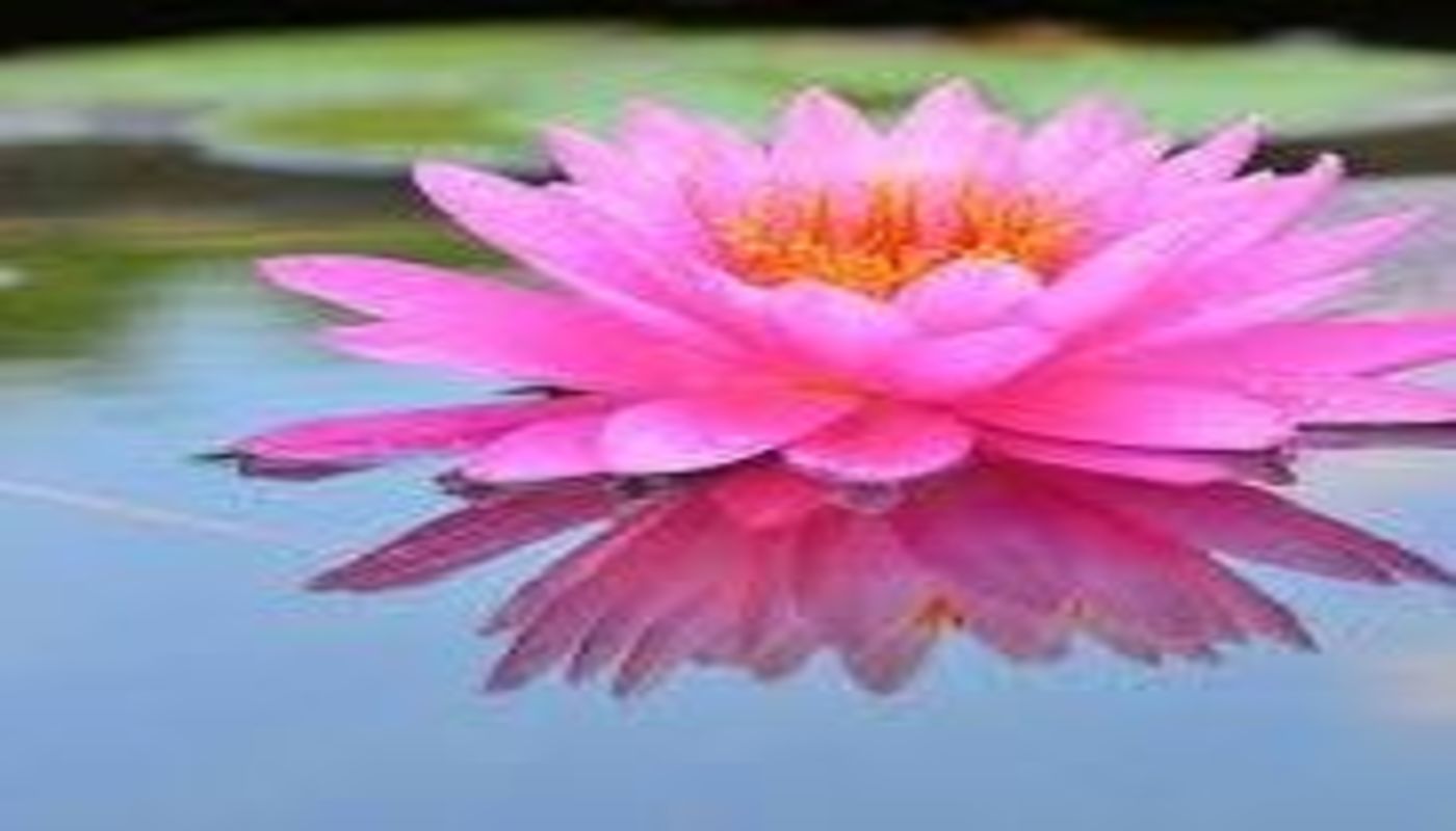 A Time to Rise Counseling and Wellness