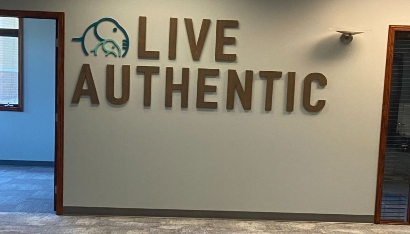 Ellie Mental Health Clive