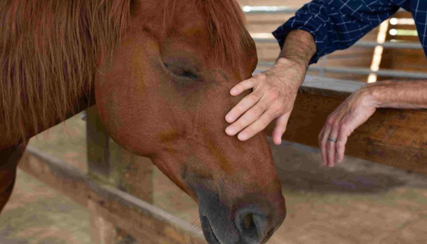 Focus Treatment Centers