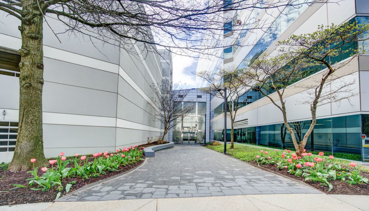 Newport Academy Fairfax