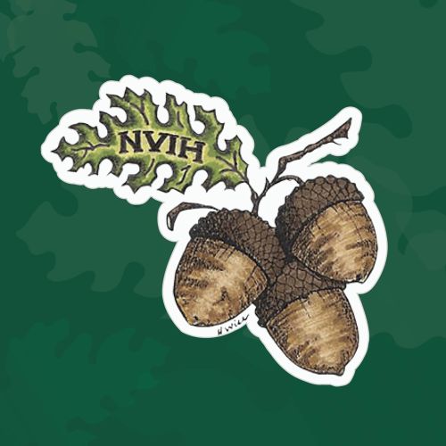 Northern Valley Indian Health - Chico