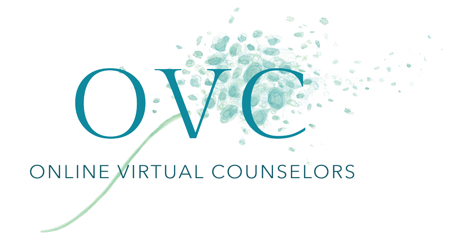 Online Virtual Counselor Zev Berkowitz