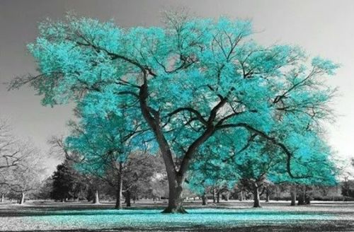 Progress House Mens Facility