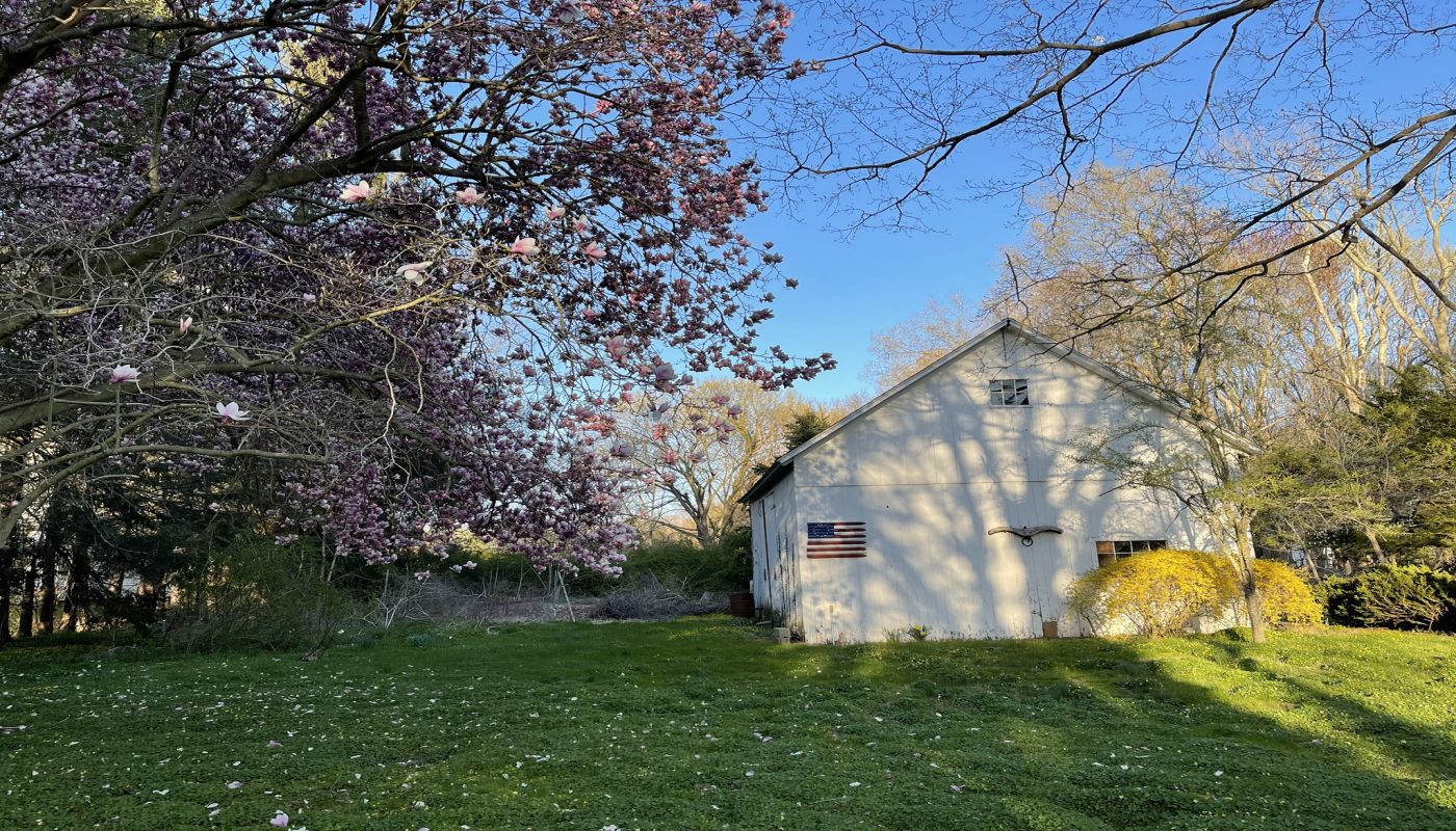 Recovery at WildWood Farm