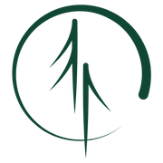 Safe Harbor IRTS/RCS