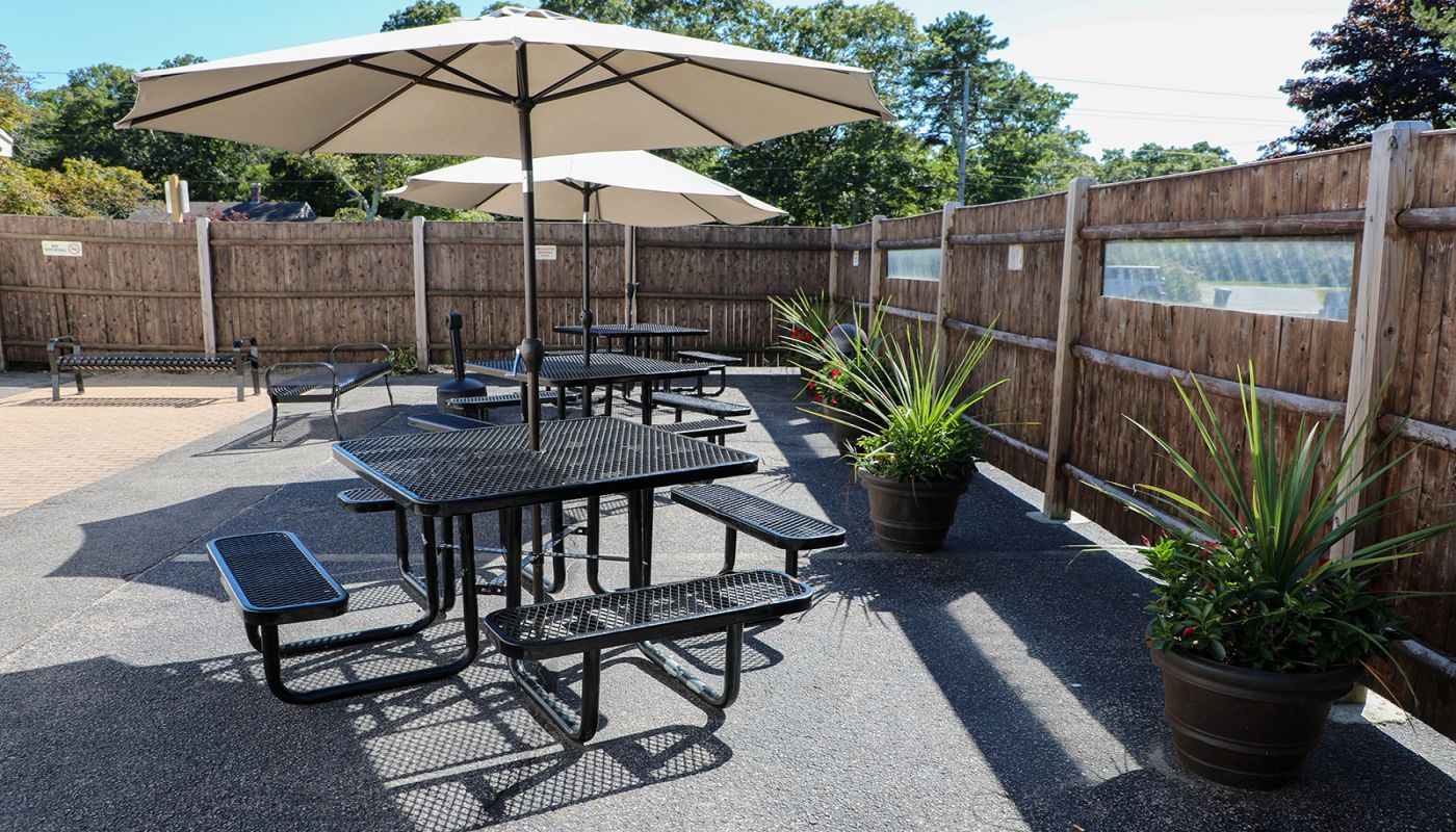 The Recovery Team - Cape Cod