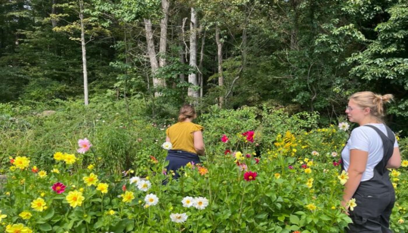 Angelus House at Wellspring